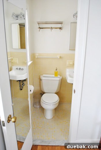 Guest bathroom after renovation, showing new light and art