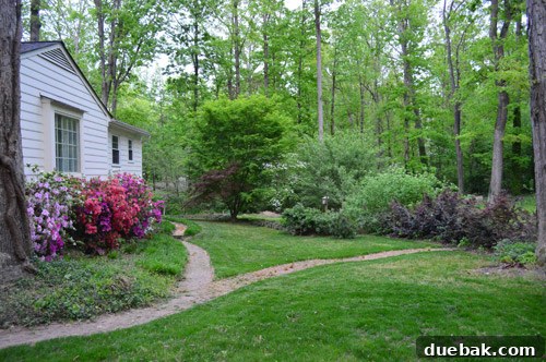 Cleaned up backyard with brick paths