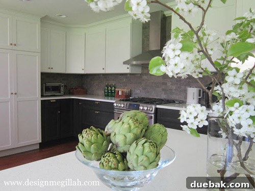 Dedicated meat and dairy zones flanking the stove in a kosher kitchen.