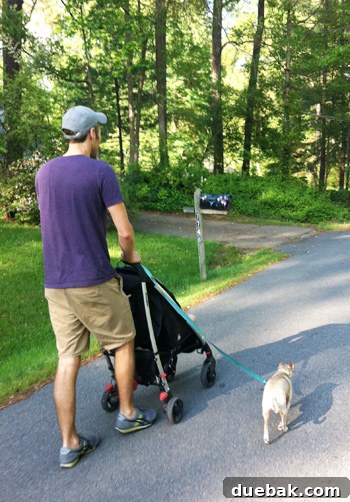 Family walking the dog during a house showing