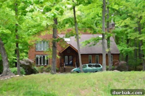 Houses That Almost Became Home 6 The Updated House, a fully renovated contemporary home with a large kitchen fireplace and a quirky bathroom phone.