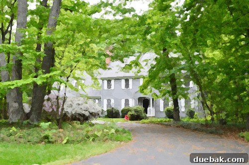 Houses That Almost Became Home 9 The Pool House, in a favorite neighborhood, boasting a large pool and deck but with high maintenance features.