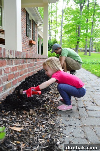Close-up of mulch