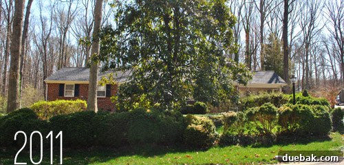Outdoor Living Reimagined 2 Before: Overgrown front yard with undefined landscaping.