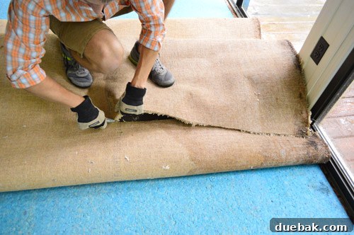 Removing Carpet, Padding, and Tack Strips 3 Rolling and cutting sunroom carpet for removal