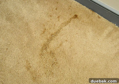 old stained carpeting