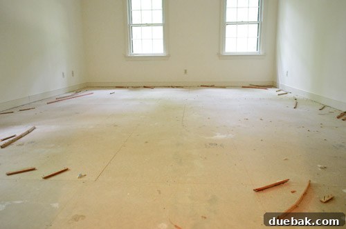 subfloor with carpet removed