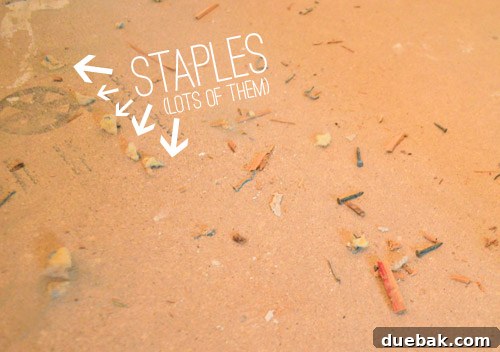 carpet staples in subfloor