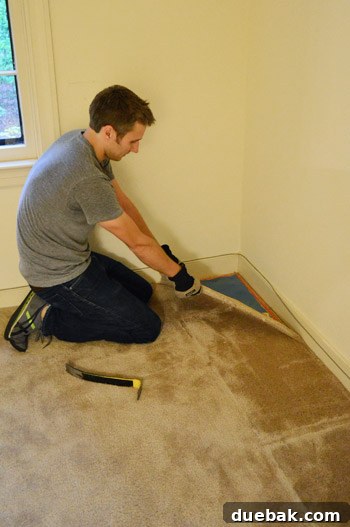 pulling up old carpet by hand