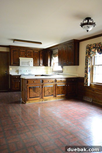 Modern kitchen renovation
