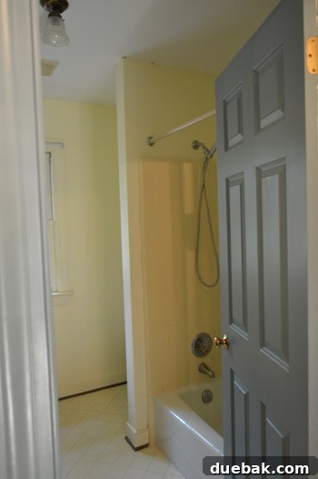 Hall bathroom interior