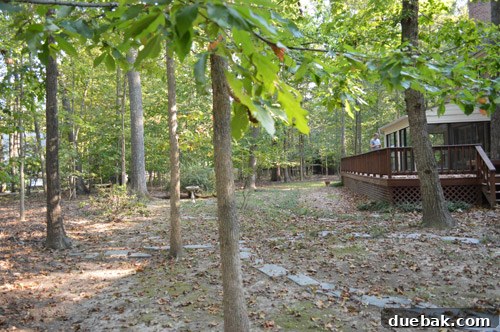 Backyard landscaping ideas