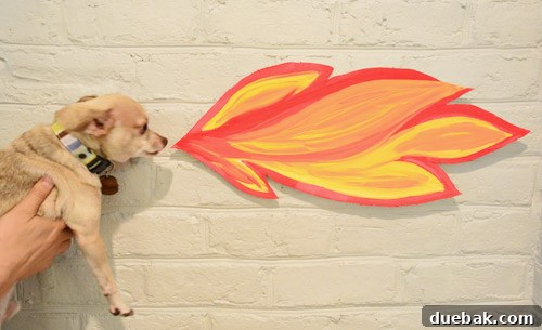 Dragon's Lair Birthday Bash 5 A small chihuahua dog held up to a fire-breathing dragon cut-out for a humorous birthday party photo opportunity.