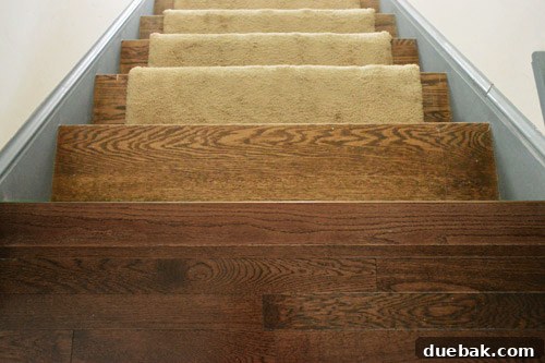A detailed view of the new hardwood floor meeting the existing carpeted stairs, showcasing the installed bullnose transition piece.