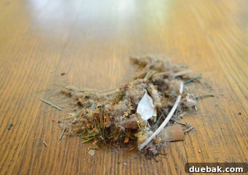 Close-up of the collected debris