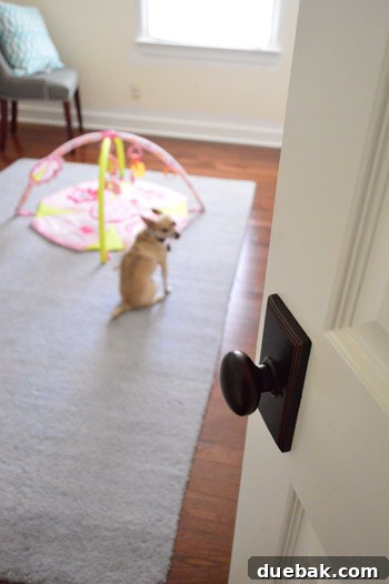 Our chihuahua, Burger, caught in the act playing with Clara's old play mat behind a closed door