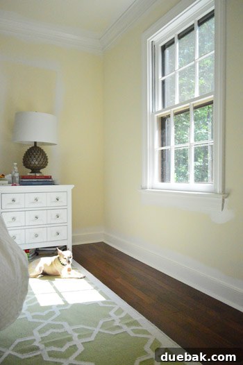 Effortlessly Install White Faux Wood Window Blinds 2 Our cat, Burger, napping in a sunbeam on the floor
