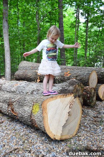 Giant Tree Threatening Home 14 Clara, a young child, standing on a large tree stump on the deck, observing the tree removal process, a unique outdoor experience.
