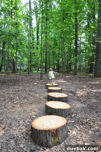 Giant Tree Threatening Home 15 Several large, flat tree trunk slices arranged on the ground as rustic stepping stones, adding natural elements to the garden.