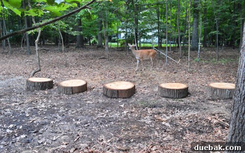 Giant Tree Threatening Home 17 A deer in a residential backyard, captured in a candid wildlife photograph, blending into the natural environment.