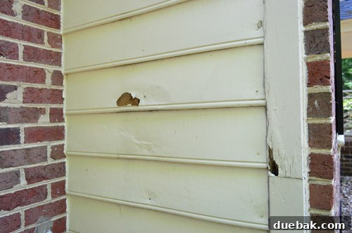 Close-up of severely rotting wood siding on a house