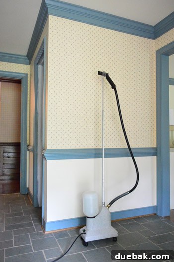 A clothes steamer ready for wallpaper removal