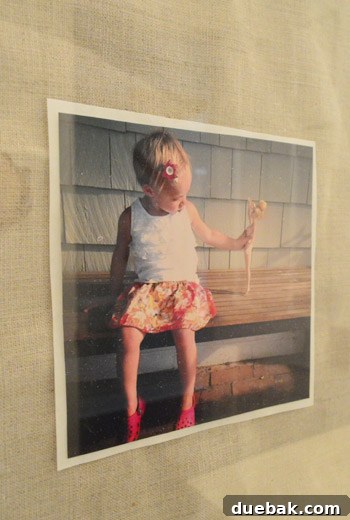 Bathroom wall decor with armadillo print, framed photo, and textured frame