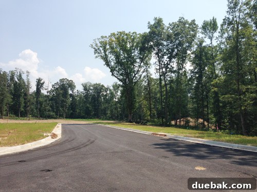 The Art of Showhouse Design 3 Empty wooded lot before construction begins