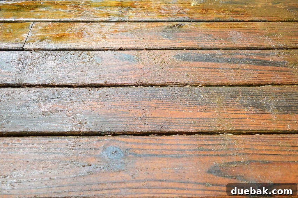 Detailed view of deck finish stripper actively peeling and lifting old stain off the wood deck surface