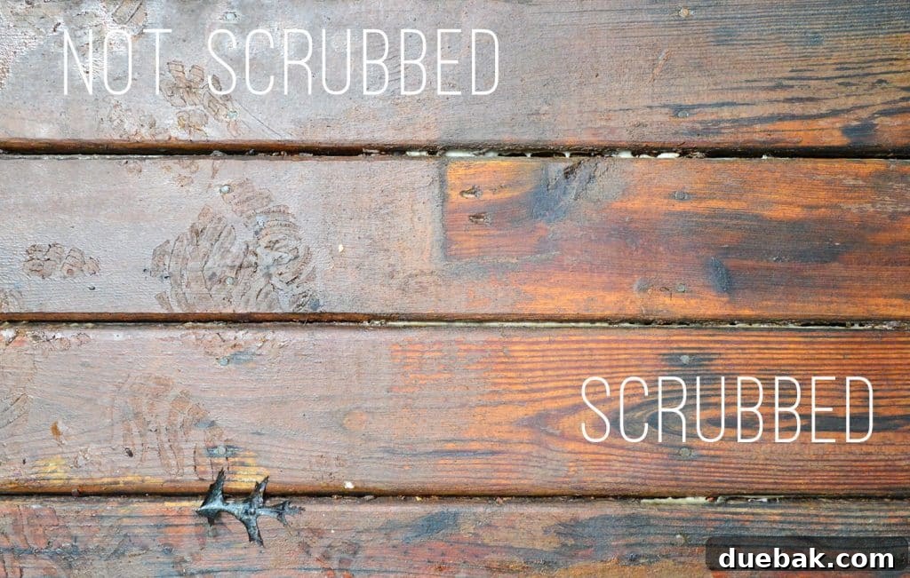 Close-up of a scrubbed area of a wood deck, showing the old finish successfully removed and cleaner wood exposed