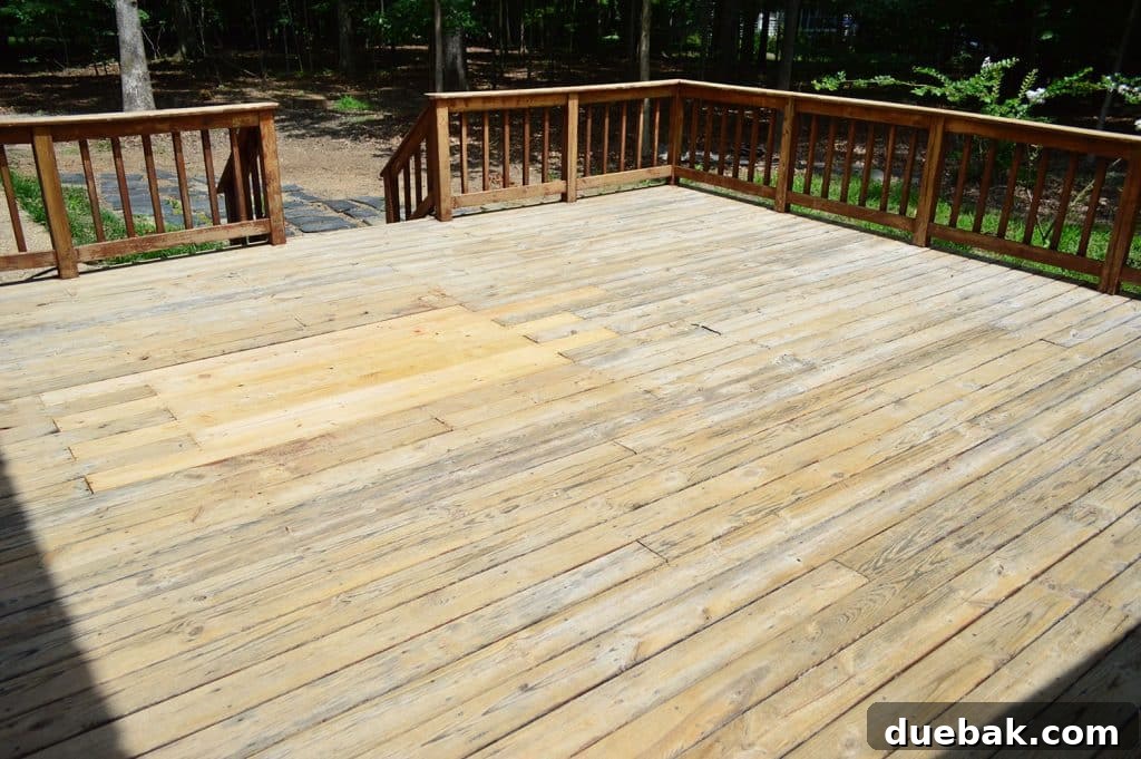 A large wooden deck after stripping, showing clean, bare wood ready for the next phase of staining
