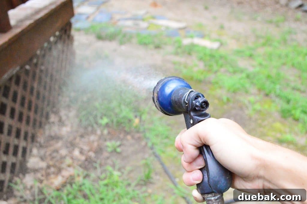A garden hose spraying water onto grass and plants adjacent to a deck to protect them from chemical runoff