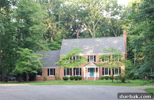Current state of the front yard with overgrown ground cover, awaiting landscape renovation