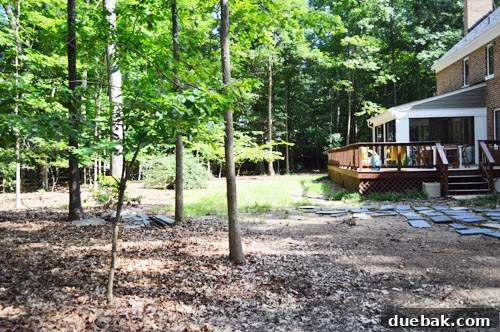 The backyard with random slate pieces and overgrown areas, awaiting a full landscape transformation