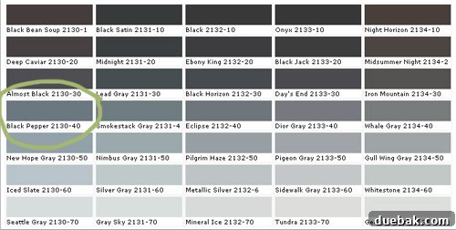Black Pepper paint swatch displayed with various complementary paint colors for comparison