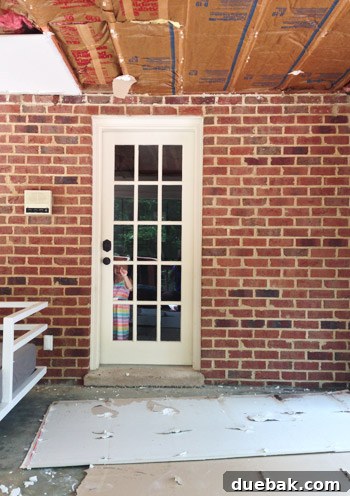 Demolishing Your Old Ceiling: A DIY Guide 8 Entertained observer during demolition