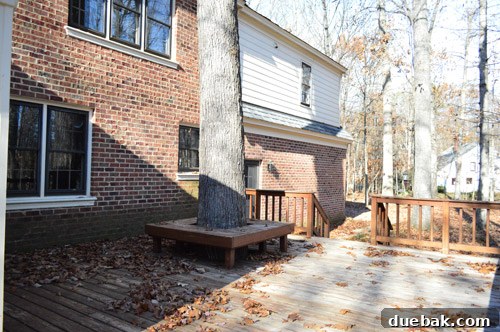 Before shot of the back deck, showing a dangerous tree, unpainted siding, and a worn-out deck surface.