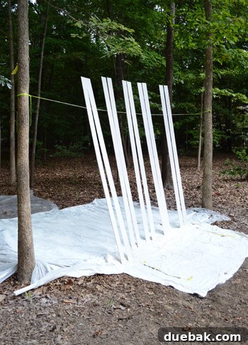Efficient plank painting setup