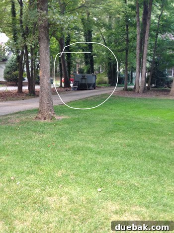 The Pivot: From Loss to Leverage 2 Neighbor's dumpster