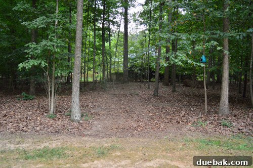 The Pivot: From Loss to Leverage 7 Mulch spread in wooded area