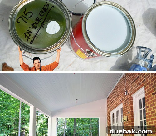 A Brush with Disaster: Our Worst Painting Mishaps 6 Sunroom ceiling being painted