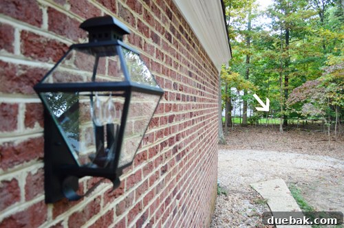 Deer visible in the distance behind the new light