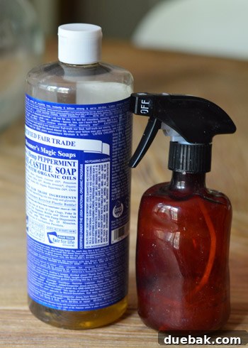 Remove Wallpaper with Soap and Water 4 Dr. Bronner's soap bottle, a key ingredient for wallpaper removal.