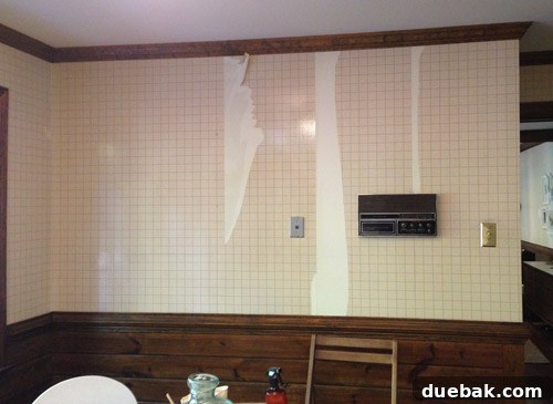 Remove Wallpaper with Soap and Water 5 Wall being sprayed with Dr. Bronner's and warm water mixture for wallpaper removal.