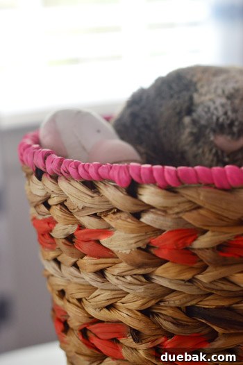 close-up-painted-basket-details
