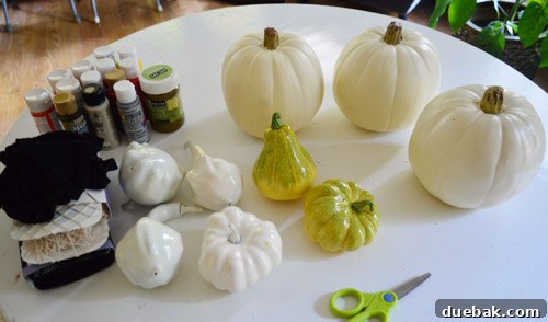 Pumpkins Transformed: The Pantyhose Touch 4 An organized collection of craft supplies including white faux pumpkins, various fishnet stockings, craft paints, and markers, neatly laid out for DIY projects.