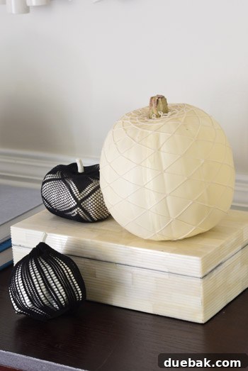Pumpkins Transformed: The Pantyhose Touch 8 A trio of fishnet-covered pumpkins and gourds in various sizes, with intricate patterns, perfect for autumn and Halloween home decor.