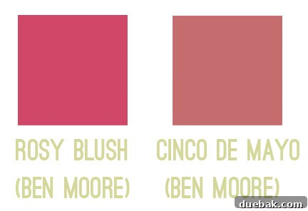 Color Confidence: Your Guide to Perfect Paint Choices 5 Side-by-side swatch comparison of a bright, pure pink and a muted, soft pink