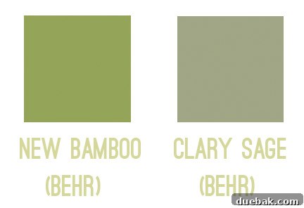 Color Confidence: Your Guide to Perfect Paint Choices 8 Swatch comparison: a vibrant, pure green vs. a muted, earthy sage green