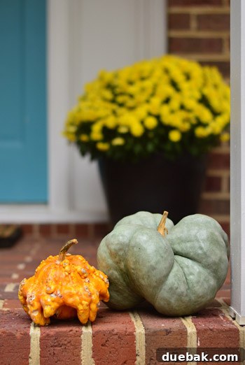 Two unusually shaped pumpkins on a porch, before being painted into bug decorations.